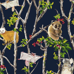 ynora. mz24WI-ST1233 (3A)  A^b` j[N C^` `` K tFlbN X[X }klR Rbg100% V[`O 110cmy10cmPʔ̔z