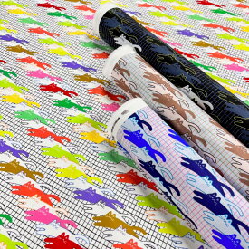 【nora. ノラ】24WI-ST1501 (3D) 猫柄 動物柄 グラフチェック 格子柄 イラスト調 グラフィカル かわいい 入園 入学 コットン100% シーチング 110cm幅【10cm単位販売】