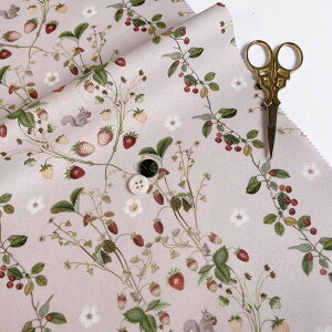 ynora. mz25SP-FR1338(3A-09) C`S   X sN uE lCr[ Rbg100% V[`O 110cmy10cmPʔ̔z