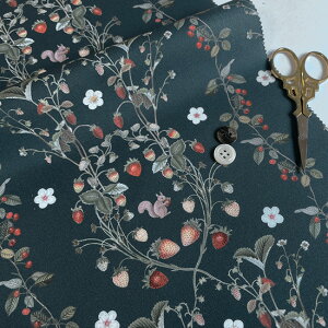 ynora. mz25SP-FR1338(3D) C`S   X sN uE lCr[ Rbg100% V[`O 110cmy10cmPʔ̔z