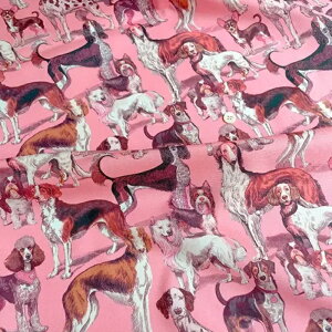 ynora. mz25FA-AM1005(3D) Ck   Aj} A^b` Be[W x[W  Rbg100% V[`O 110cmy10cmPʔ̔z