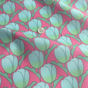 ynora. mz25WI-FR1383(3D)  `[bv g |bv k  `[t t[ Rbg100% V[`O 110cmy10cmPʔ̔z