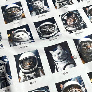 ynora. mz25WI-ST1555-A(3D) lR Aj} L F Xe[V Xy[X j[N Rbg100% V[`O 110cmy10cmPʔ̔z