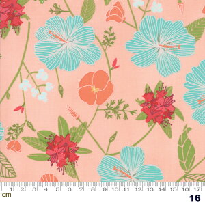 yModa _zPacific Wanderings-13320-16(2D-01) sN ԕ nCrXJX  킢 Rbg100% V[`Oy10cmPʔ̔z