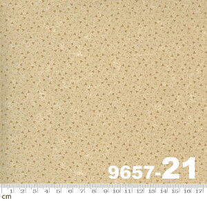 yModa _zPrairie Dreams-9657-21(2E-05) x[Wn uEn Rbg100% V[`Oy10cmPʔ̔z