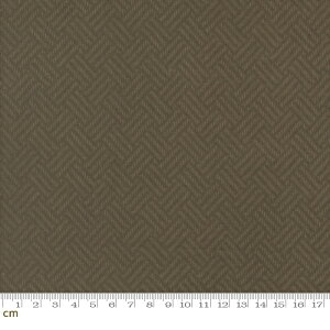 yModa-k _zPrairie Gatherings Flannels-49312-15F(3A-05) J[LO[ 􉽊w Ėڕ Vv x[VbN Nѐn Rbg100% tln 110cmy10cmPʔ̔z