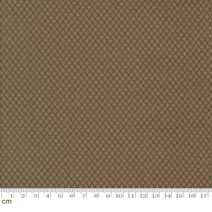 yModa-k _zPrairie Gatherings Flannels-49316-14F(3A-05) uE oCAX`FbN Vv x[VbN Nѐn Rbg100% tln 110cmy10cmPʔ̔z