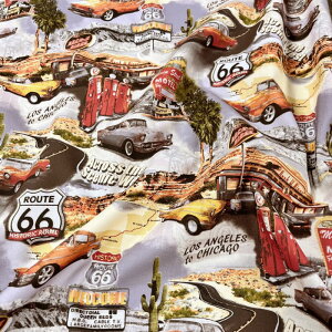 yAOHIGE AIqQzI[hAJ 24A-SS-125(3C-03) ԕ `[t AJ`[t AJ NVbNJ[ VJS [g66 Be[W Rbg100% V[`O 110cmy10cmP