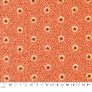 yModa _zPumpkin Spice Gatherings-49290-15(3A-01) 鑐 ԕ A H IW V[`O 110cmy10cmPʔ̔z