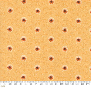 yModa _zPumpkin Spice Gatherings-49290-16(3A-01) 鑐 ԕ A H IW CG[ V[`O 110cmy10cmPʔ̔z