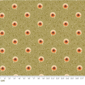 yModa _zPumpkin Spice Gatherings-49290-17(3A-01) 鑐 ԕ A H IW O[ V[`O 110cmy10cmPʔ̔z