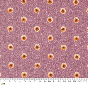 yModa _zPumpkin Spice Gatherings-49290-18(3A-01) 鑐 ԕ A H IW p[v V[`O 110cmy10cmPʔ̔z