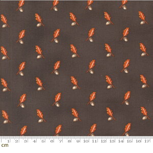 yModa _zPumpkin Spice Gatherings-49291-16(3A-01) t ǂ񂮂 A IW uE V[`O 110cmy10cmPʔ̔z