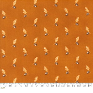 yModa _zPumpkin Spice Gatherings-49291-19(3A-01) t ǂ񂮂 A IW V[`O 110cmy10cmPʔ̔z