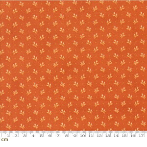 yModa _zPumpkin Spice Gatherings-49292-18(3A-01) t [t A H IW V[`O 110cmy10cmPʔ̔z
