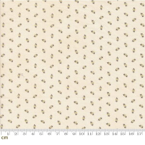 yModa _zPumpkin Spice Gatherings-49295-13(3A-01) ԕ i` H ԕ O[ zCg x[W AC{[ V[`O 110cmy10cmPʔ̔z