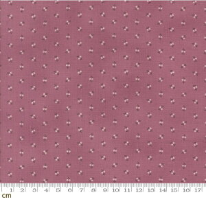 yModa _zPumpkin Spice Gatherings-49295-25(3A-01) ԕ i` H ԕ p[v  V[`O 110cmy10cmPʔ̔z