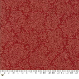 yModa _zPuzzle Pieces-10107-34(2D-02) bhn yCY[ Rbg100% V[`O y10cmPʔ̔z