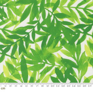 yModa _zRadiant-21841-15(3A-04) [t {^jJ GKg  V[`O 110cm pb`[N nhChy10cmPʔ̔z