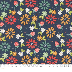 yModa _zRaspberry Summer-37690-20(3A-01) lCr[ 􉽉ԕ Yx[ t[c tF~j 킢 Rbg100 V[`O 110cmy10cmPʔ̔z