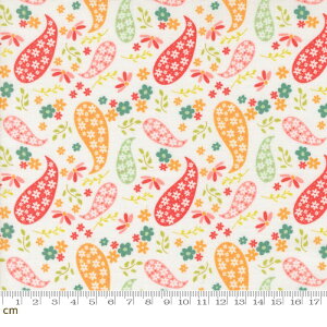 �yModa ���_�zRaspberry Summer-37691-11(3A-06) �z���C�g �J���t�� ���ԕ� �y�C�Y���[ �t�F�~�j�� ���킢�� �R�b�g��100�� �V�[�`���O 110cm���y10cm�P�ʔ̔��z