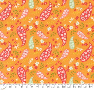 yModa _zRaspberry Summer-37691-14(3A-01) IW ԕ yCY[ tF~j 킢 Rbg100 V[`O 110cmy10cmPʔ̔z