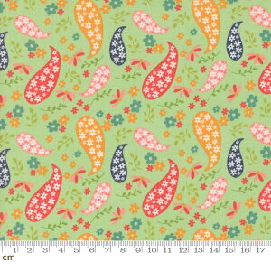 yModa _zRaspberry Summer-37691-15(3A-01) O[ ԕ yCY[ tF~j 킢 Rbg100 V[`O 110cmy10cmPʔ̔z