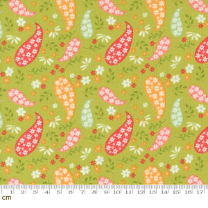 �yModa ���_�zRaspberry Summer-37691-17(3A-06) �O���[�� ���ԕ� �y�C�Y���[ �t�F�~�j�� ���킢�� �R�b�g��100�� �V�[�`���O 110cm���y10cm�P�ʔ̔��z
