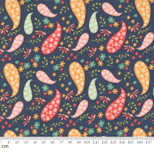 yModa _zRaspberry Summer-37691-20(3A-01) lCr[ ԕ yCY[ tF~j 킢 Rbg100 V[`O 110cmy10cmPʔ̔z