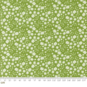 yModa _zRaspberry Summer-37693-18(3A-01) O[ ԕ Vv 킢 Rbg100 V[`O 110cmy10cmPʔ̔z