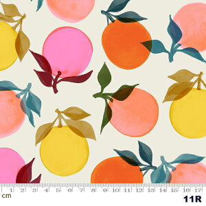 yModa _zRayon 2019-RS5004-11r([n)(2D-05) sNn CG[n IWn O[n zCgn ʕ t[c k O[vt[c V[`O ruby star r[X^[y10cmPʔ