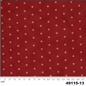 yModa _zRedwork Gatherings-49115-13(2E-03) x[Wn zCgn bhn uEn hbg L Rbg100 V[`O 110cmy10cmPʔ̔z