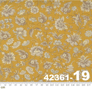 yModa _zRegency Somerset Blues-42361-19(2E-05) uE x[W CG[ ԕ A Rbg100 V[`Oy10cmPʔ̔z