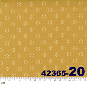 yModa _zRegency Somerset Blues-42365-20(2E-05) }X^[hCG[ hbg L Rbg100 V[`Oy10cmPʔ̔z