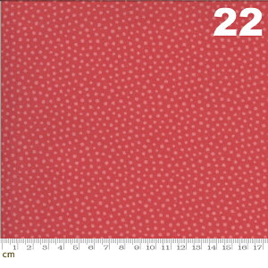 yModa _zRegency Zarafa-42353-22(2D-01) bhn Ȗ͗l Rbg100 V[`Oy10cmPʔ̔z