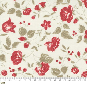 yModa _zRidgewood-14971-11(2E-06) zCg ԕ AeB[N Rbg100% V[`O y10cmPʔ̔z