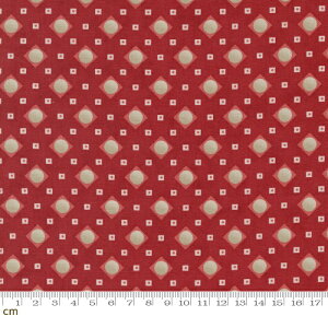 yModa _zRidgewood-14975-18(2E-06) bh 􉽊w AeB[N Rbg100% V[`O y10cmPʔ̔z