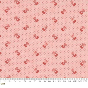 yModa _zRidgewood-14976-14(2E-06) sN ԕ hbg AeB[N Rbg100% V[`O y10cmPʔ̔z