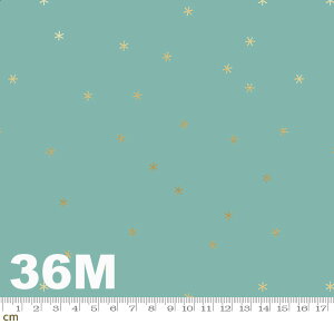 yModa _zRise-RS0005-36M(2D-01)  ^bNH IW bhn S[h S[h  Rbg100% V[`O y10cmPʔ̔z