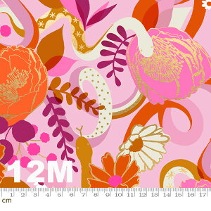 yModa _zRise-RS0011-12M(2D-01) ^bNH bhn x[Wn uEn zCgn IWn p[vn sNn ԕ A Rbg100% V[`O y10cmPʔ̔z