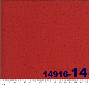 yModa _zRoselyn-14916-14(2E-02) bhn  Rbg100% V[`Oy10cmPʔ̔z