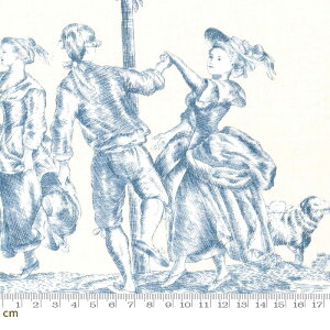 yFrench GeneralzRural Jardin-13530-29(3A-02) moda 18ItX Vg t`WFl u[ V[`O 110cm Rbg100%y10cmPʔ̔z