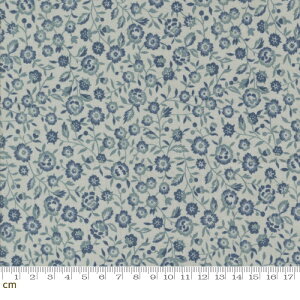 yModa _zSacre Bleu-13974-15(3A-01) u[ ԕ 鑐 AeB[N t`WFl Rbg100 V[`O 110cmy10cmPʔ̔z