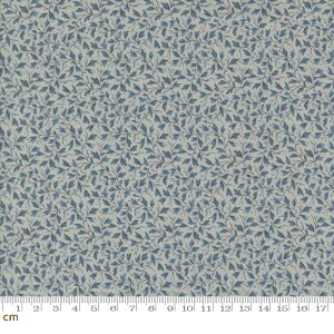 yModa _zSacre Bleu-13976-15(3A-01) u[ A [t t AeB[N t`WFl Rbg100 V[`O 110cmy10cmPʔ̔z