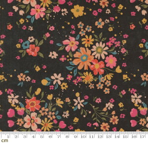 yModa _zSagewood-11951-22(3A-01) ԕ u[P ԑ ubN Rbg100 V[`O 110cmy10cmPʔ̔z