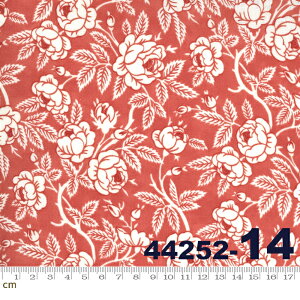 yModa _zSanctuary-44252-14(2E-02) zCgn bhn   Rbg100% V[`Oy10cmPʔ̔z