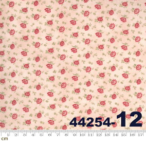 yModa _zSanctuary-44254-12(2E-02) bhn sNn  ԕ Rbg100% V[`Oy10cmPʔ̔z