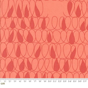 yModa _zSimply Cozy-1891-14(3A-04)  邮  ۓI bh sN V[`O 110cm