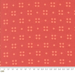 yModa _zSimply Cozy-1892-16(3A-04)hbg ԕ ۓI bh V[`O 110cm