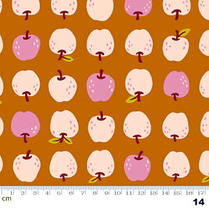 yModa _zSMOL-RS3016-14(2E-05) uEn sNn t[c S  Rbg100% V[`O y10cmPʔ̔z